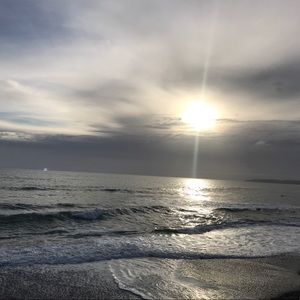 Meet your Posher, Lynn